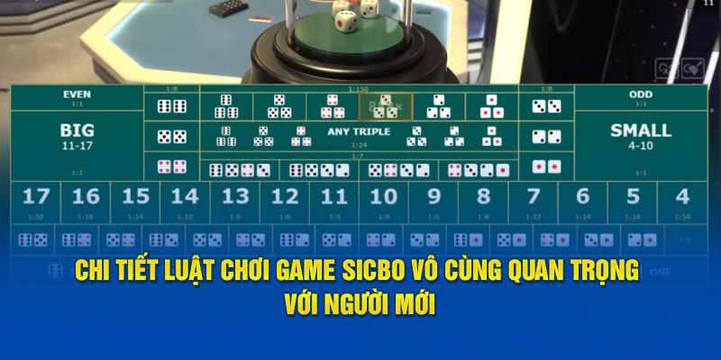 Chi tiết luật thi đấu game Sicbo vô cùng quan trọng với người mới