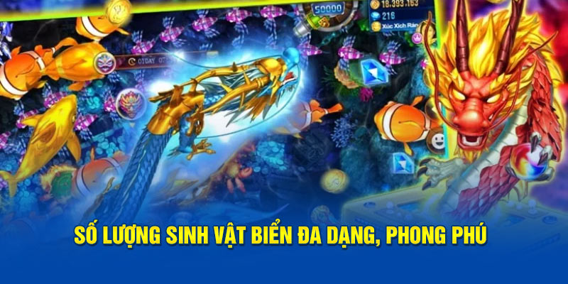 Số lượng sinh vật biển đa dạng, phong phú 